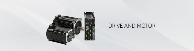 Dual Platform Interactive